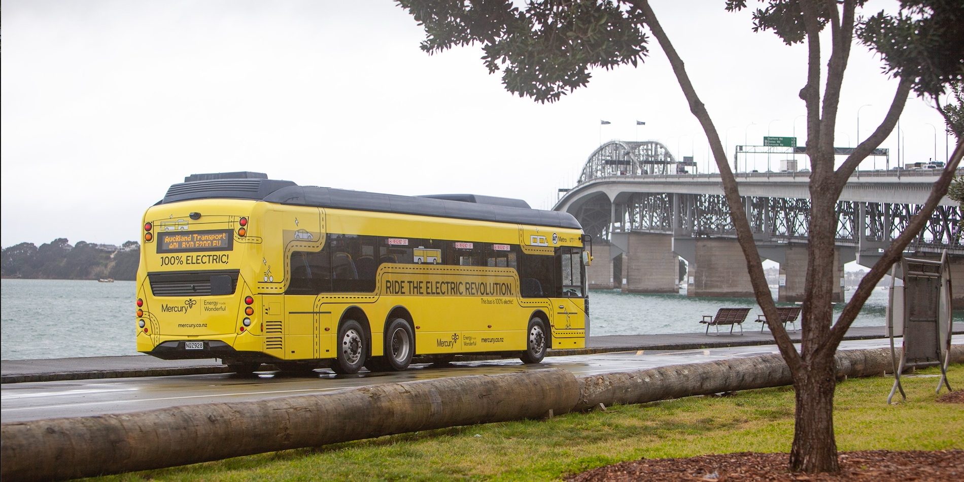 Auckland recibe un autobús eléctrico BYD ALD de tres ejes - electrive.com