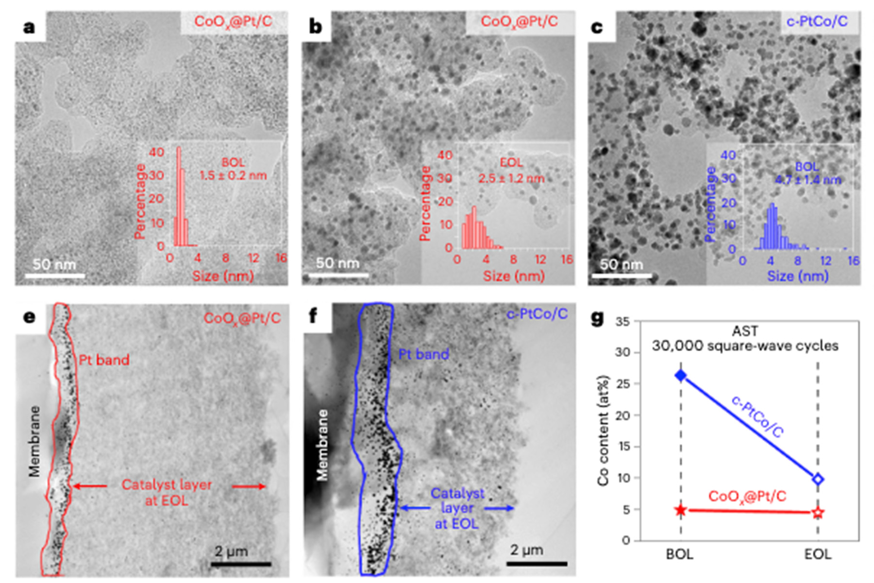 Innovative Catalysts for Durable Fuel Cells in Hard-to-Decarbonize Sectors